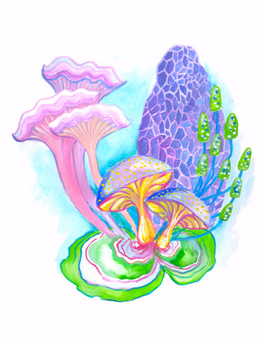 Winter Fungus
